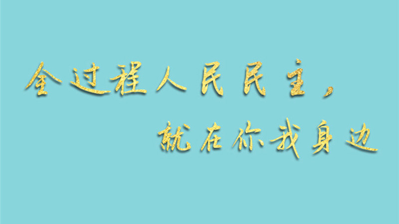 两会手绘长卷：全过程人民民主，就在你我身边