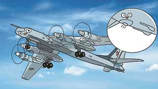 尾橇：防止飞机“擦尾”有后手