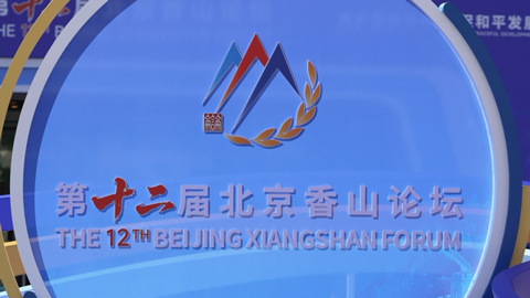 第十二届北京香山论坛外国参会代表谈为什么来中国