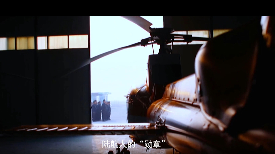 你可曾见过，陆航人的“勋章”