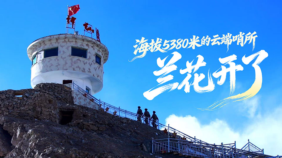 新春走军营丨海拔5380米的云端哨所 兰花开了