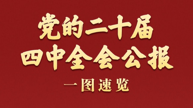 党的二十届四中全会公报一图速览