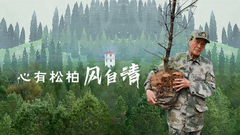 有声海报丨不忘清风来时路——青山写忠诚的张连印