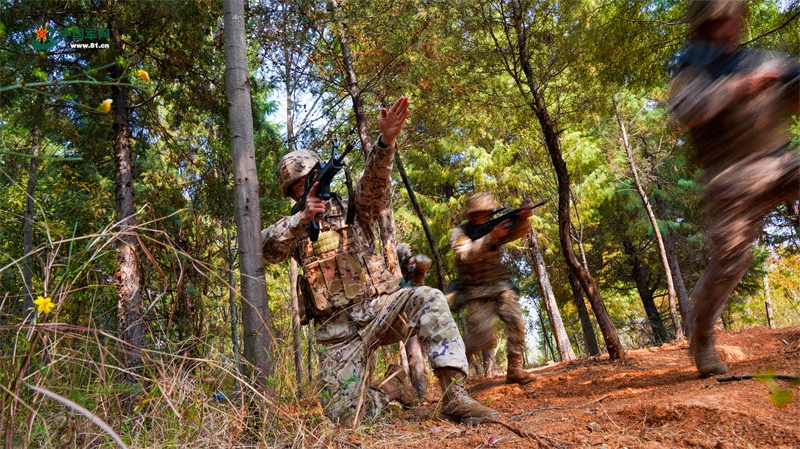 进行山林搜索行动1