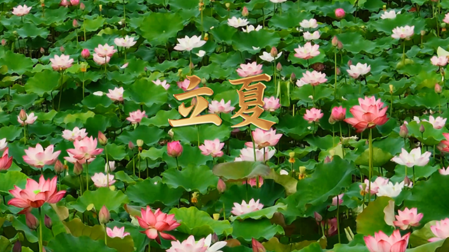 战友你好 今日立夏