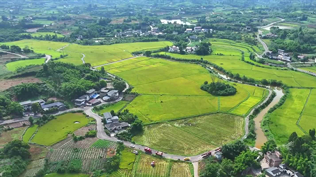 文化中国行丨丹青绘乡土 墨韵承乡愁
