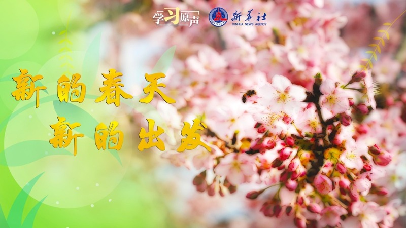 学习原声丨新的春天 新的出发