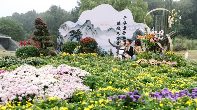 江苏句容：宝华山下文旅热