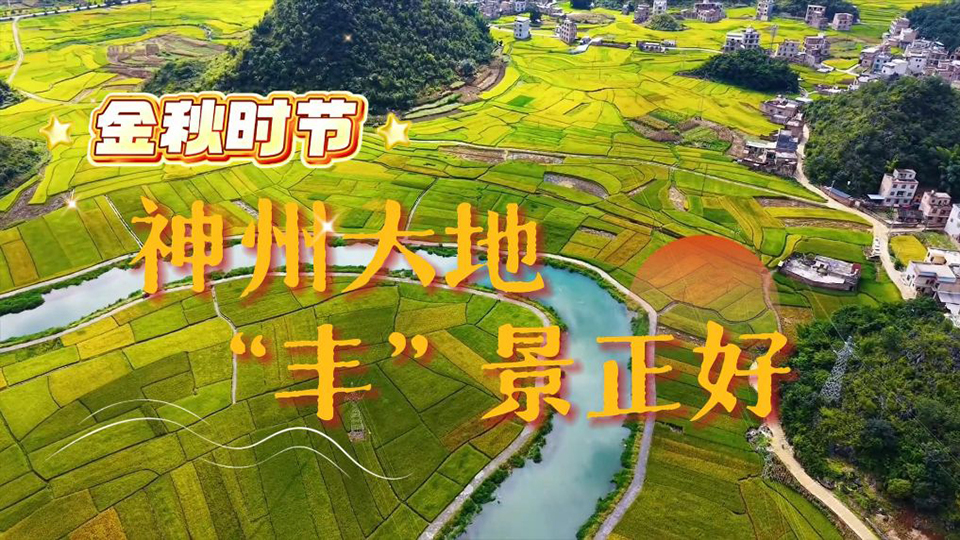 金秋时节 神州大地“丰”景正好