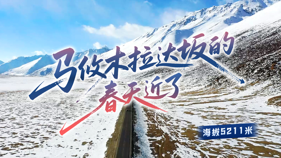 新春走军营丨马攸木拉达坂的春天近了