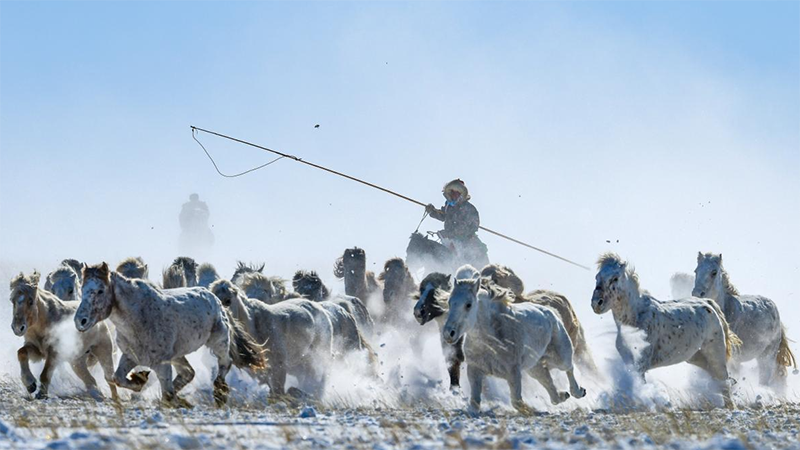 策马踏雪迎新春