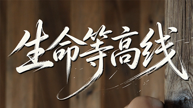 这条不起眼的划痕，为何被称为“生命等高线”？